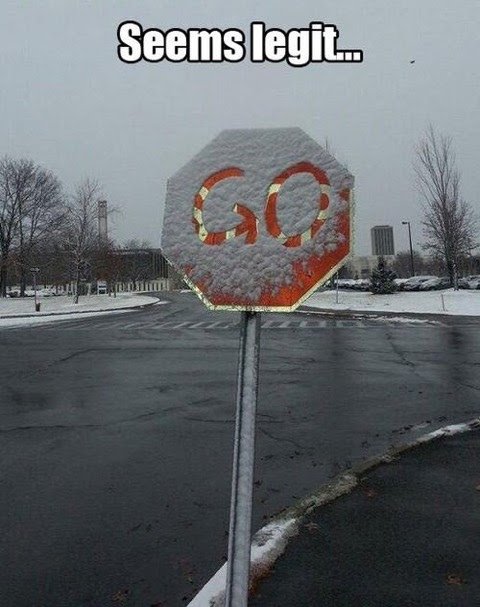 funny stop sign snow go