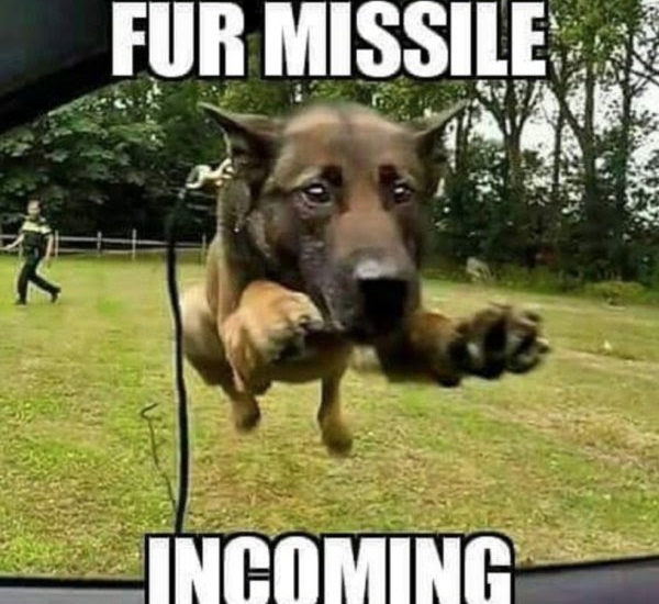 fur missile incoming