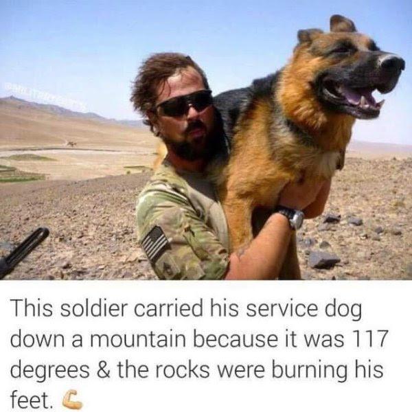 soldier carries dog down mountain