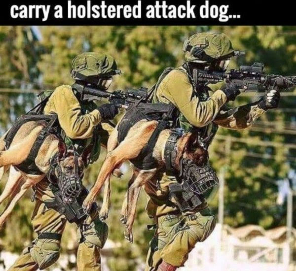 holstered attack dogs