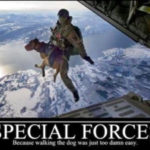 special forces dog jumping out of plane
