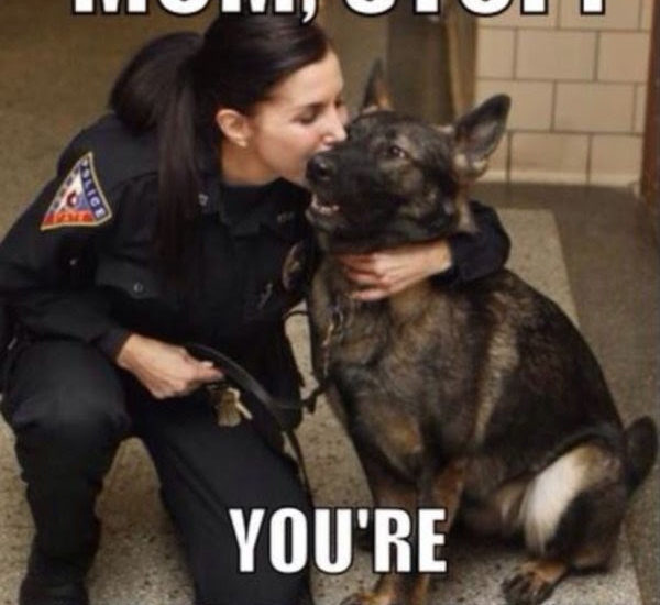 police dog mom stop you're embarrassing me