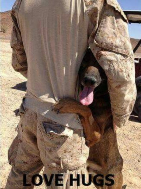 love hugs dog military