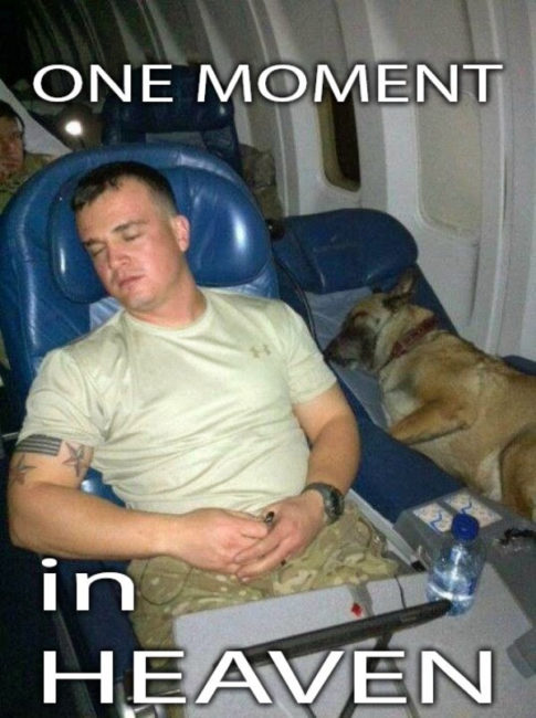 one moment in heaven dog soldier
