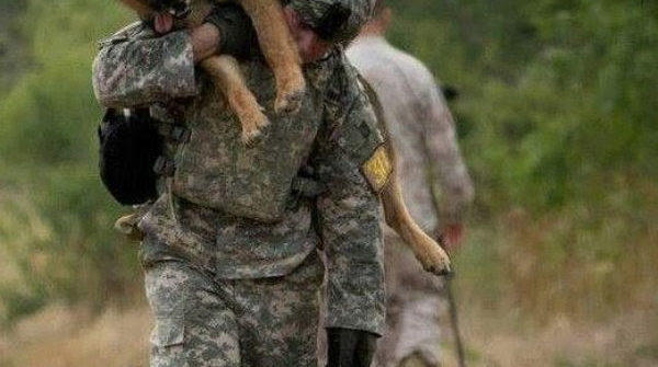 he's not just a dog he's a soldier