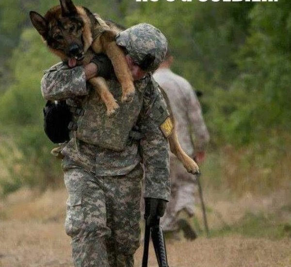 he's not just a dog he's a soldier