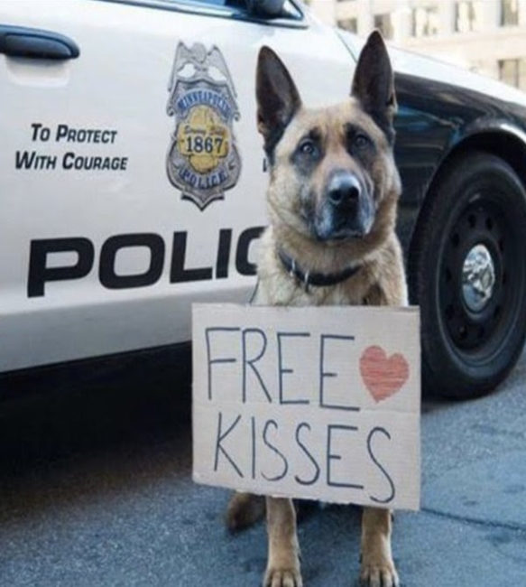 police dog free kisses
