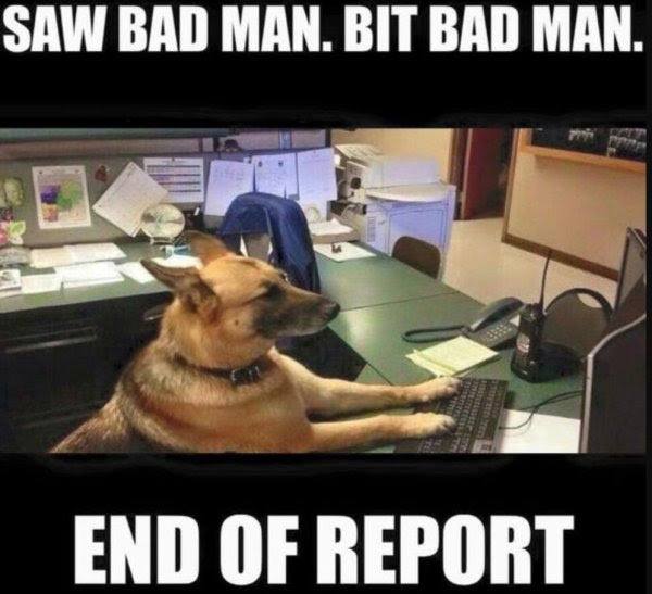 saw bad man bit bad man end of report