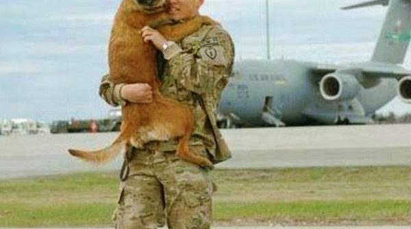 welcome home dad dog meets soldier returning home