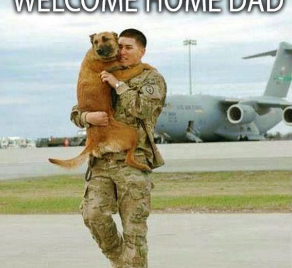 welcome home dad dog meets soldier returning home