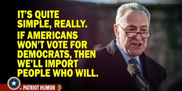 if americans won't vote for democrats then we'll import people who will chuck schumer meme
