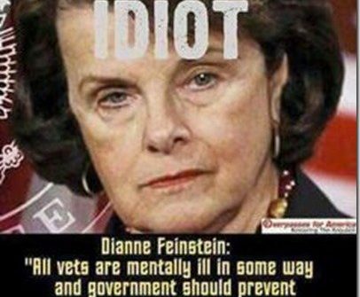 dianne feinstein idiot all vets are mentally ill quote