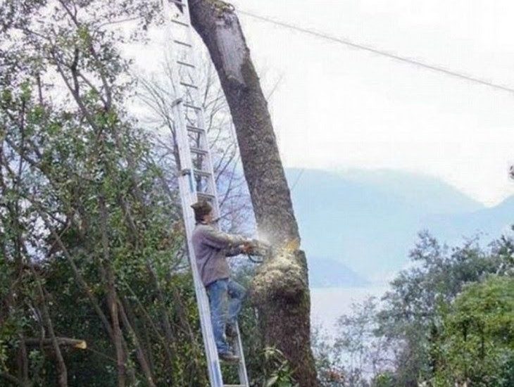 funny picture of guy cutting down a tree