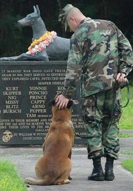 dog soldier memorial