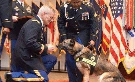 police dog honor