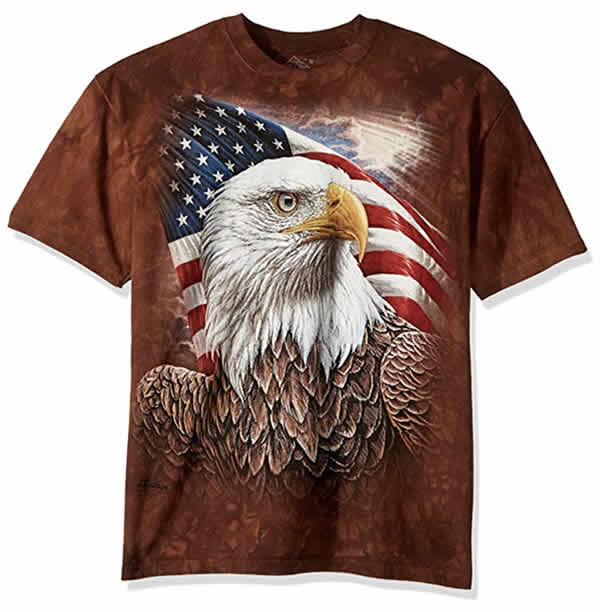 bald eagle american flag t-shirt