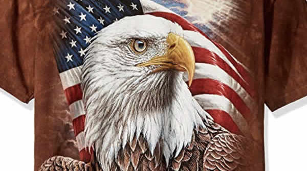 bald eagle american flag t-shirt