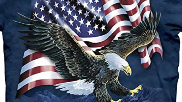 awesome bald eagle american flag t-shirt