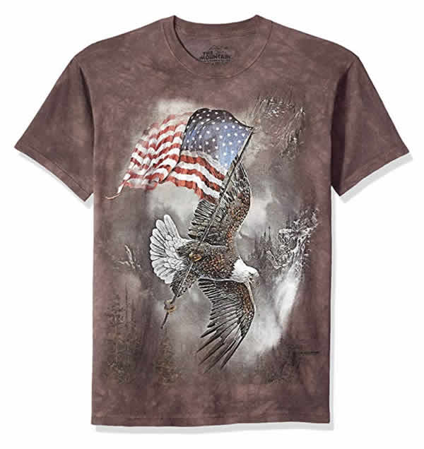 bald eagle american flag winter t-shirt