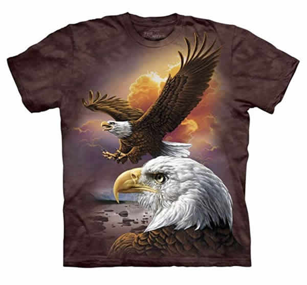 bald eagle sunset t-shirt