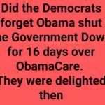 government shutdown democrats