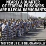 illegal immigrants costs