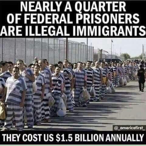 illegal immigrants costs